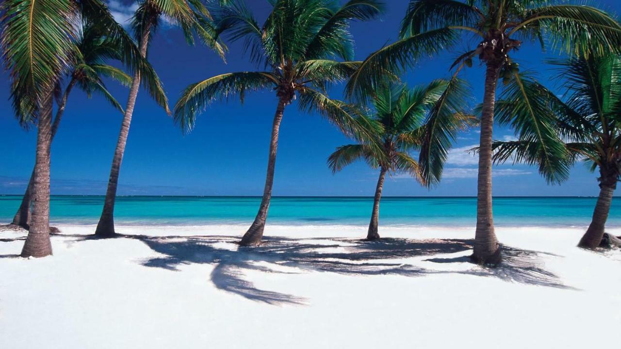Apartment Cap Cana Cozy Apt Close To Beach & Shopping Mall *